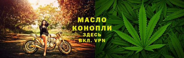 стаф Осинники