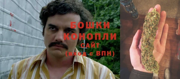 сатива Осташков