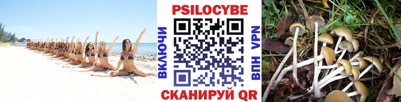 Галлюциногенные грибы мицелий  Верхняя Салда 